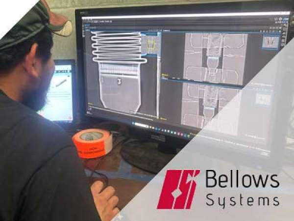 Digital X-ray inspection of bellows